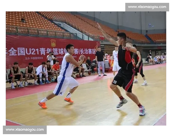 篮球赛前深度分析：全方位解读双方优势劣势与关键对决策略