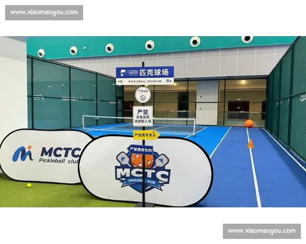 畅享全球体育赛事精彩瞬间轻松免费观看体育直播平台推荐